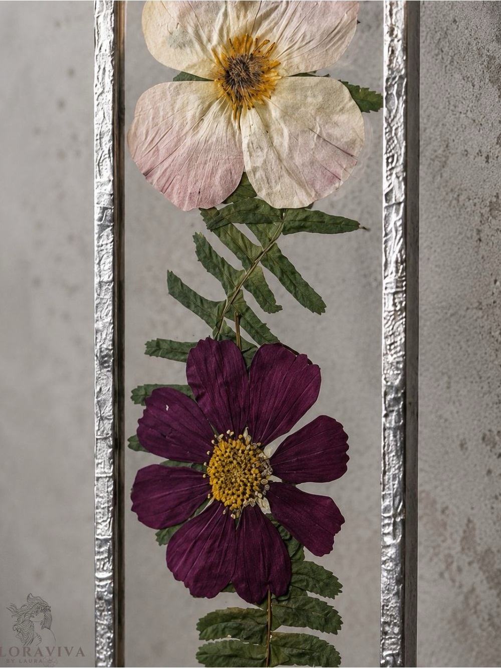 Cosmos botanical Frame - Picture 4 of 5